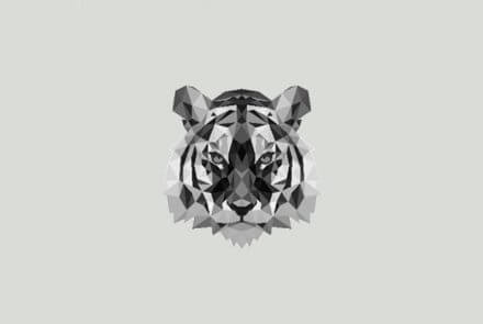 tiger_cover